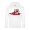 Men's Midweight College Hooded Sweatshirt Thumbnail